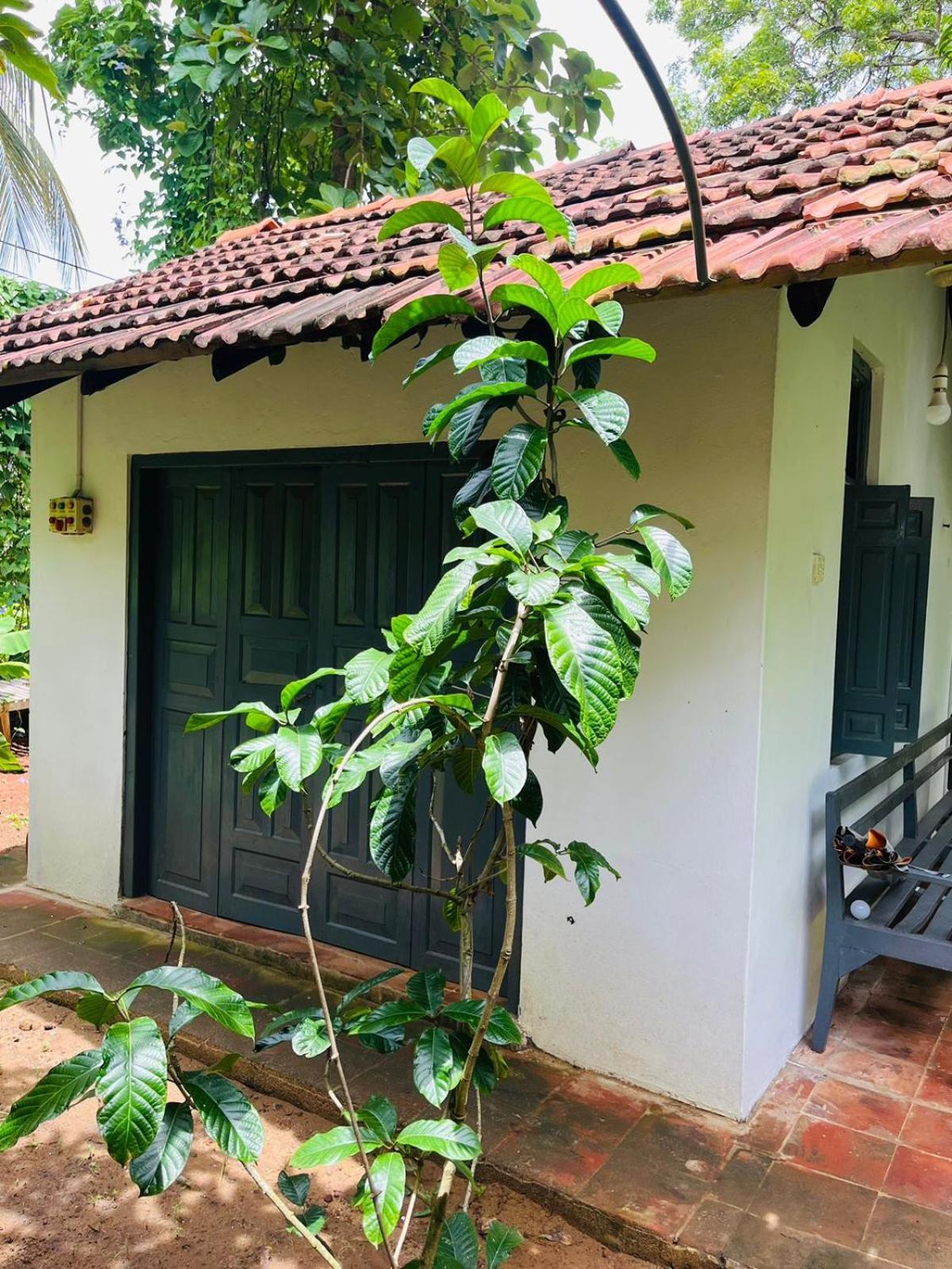 Agora Villa By Esperanza Tangalle Bagian luar foto